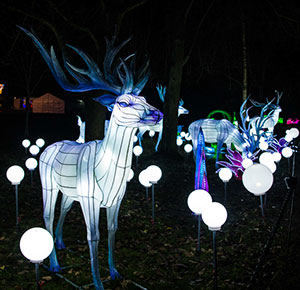 Stunning reindeer illuminations at Alton Towers Resort, Staffordshire