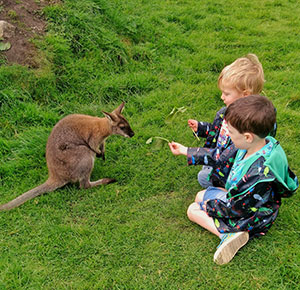 Children interact with a wallaby at Peak Wildlife Park, Staffordshire. Image courtesy Dirt, Diggers & Dinosaurs.
