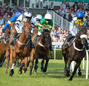 Horses and jockeys in a close race on a sunny day at Uttoxeter Racecourse, Staffordshire