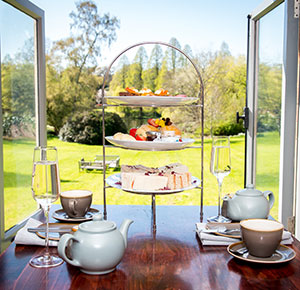 Aftrenoon tea stand with scenic backdrop of gardens