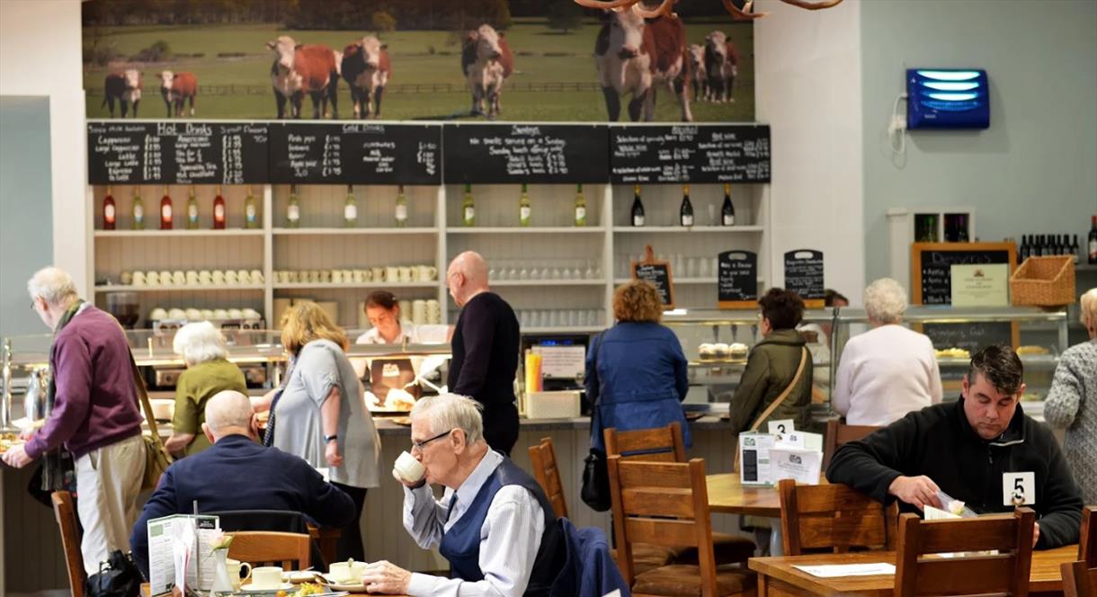 Sample the homemade food from the tea room