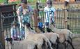 Family feeding the sheep