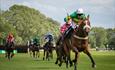 A horse race in progress, looking like a close finish