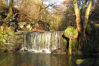Waterfall from the Upper Trent at Knypersley in Greenway Bank